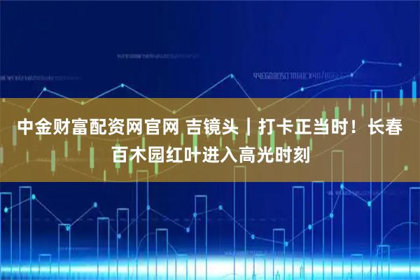 中金财富配资网官网 吉镜头｜打卡正当时！长春百木园红叶进入高光时刻