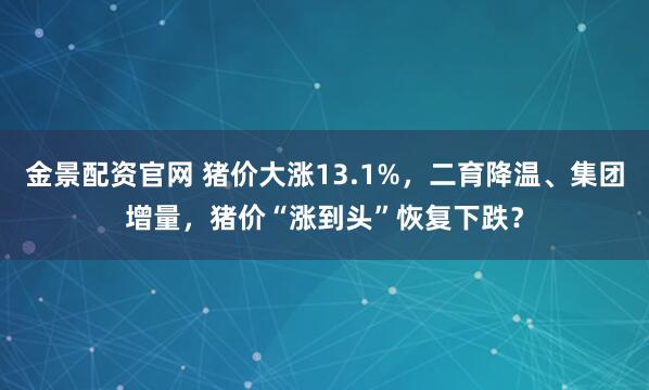 金景配资官网 猪价大涨13.1%，二育降温、集团增量，猪价“涨到头”恢复下跌？