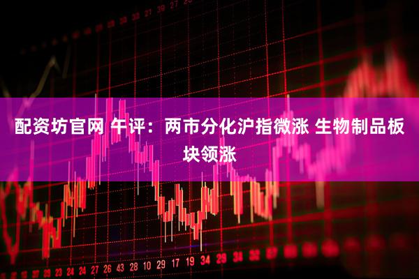 配资坊官网 午评：两市分化沪指微涨 生物制品板块领涨